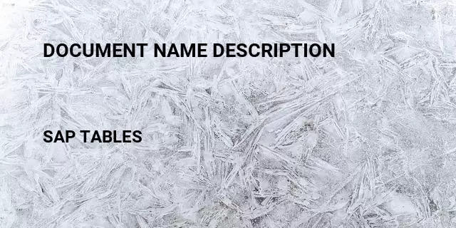 Document name description Table in SAP