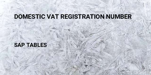 Domestic vat registration number Table in SAP