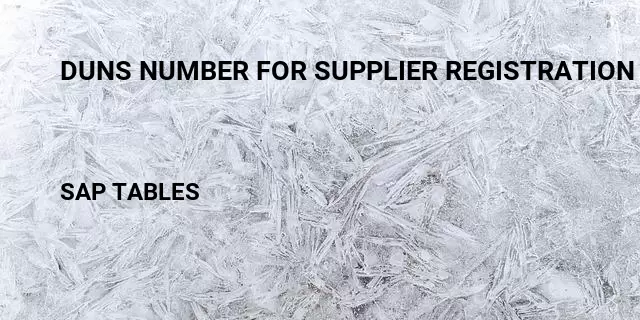Duns number for supplier registration Table in SAP