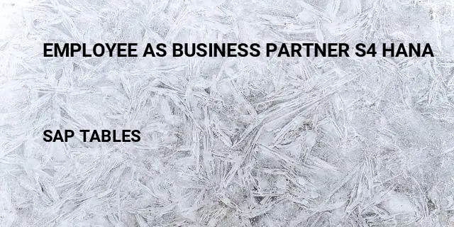 Employee as business partner s4 hana Table in SAP