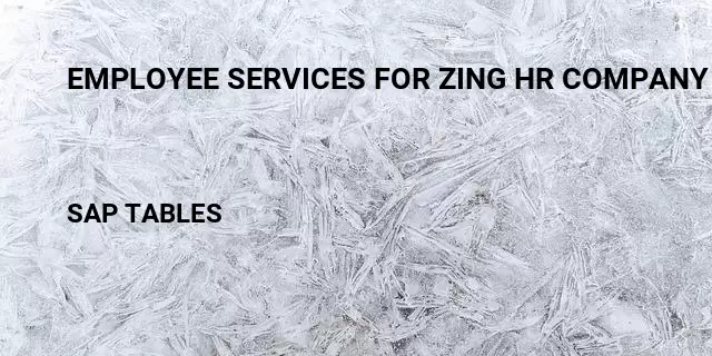 Employee services for zing hr company code Table in SAP