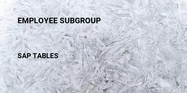 Employee subgroup Table in SAP