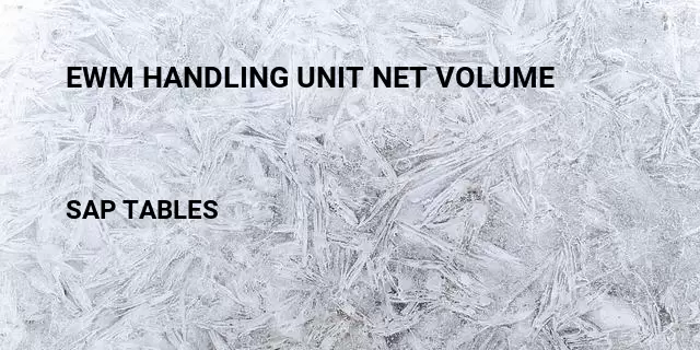 Ewm handling unit net volume Table in SAP
