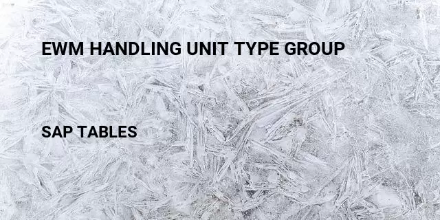 Ewm handling unit type group Table in SAP