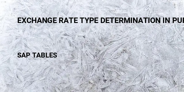 Exchange rate type determination in purchase order Table in SAP