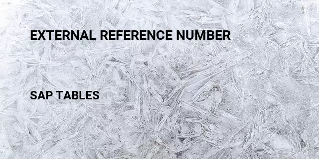 External reference number Table in SAP