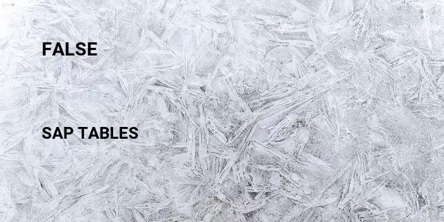 False Table in SAP