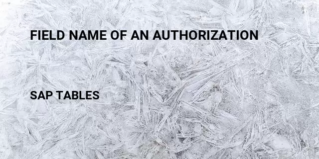 Field name of an authorization Table in SAP