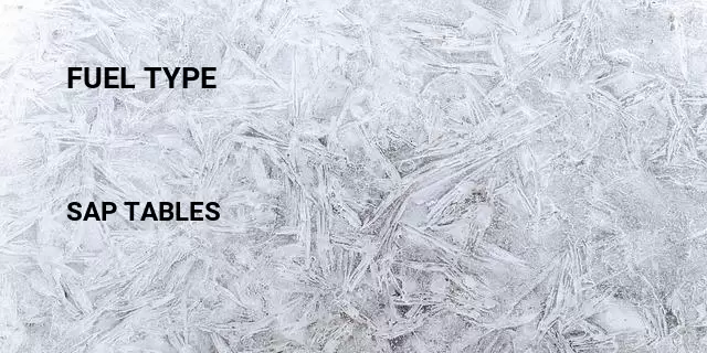 Fuel type Table in SAP