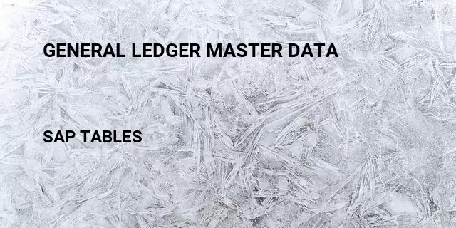 General ledger master data Table in SAP