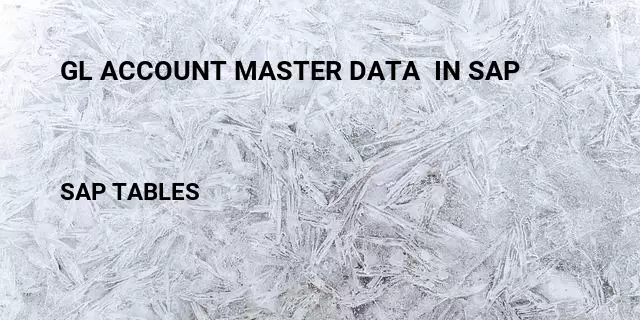 Gl account master data  in sap Table in SAP