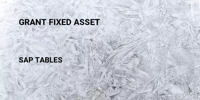 Grant fixed asset Table in SAP