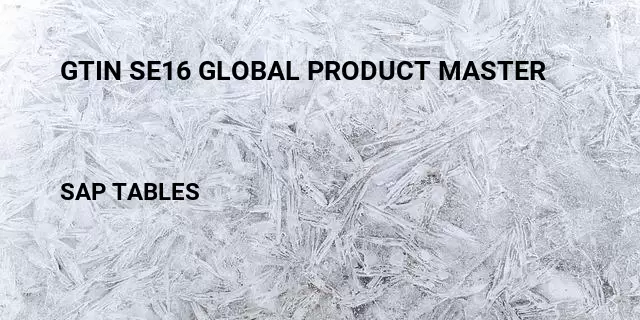 Gtin se16 global product master Table in SAP