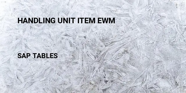 Handling unit item ewm Table in SAP