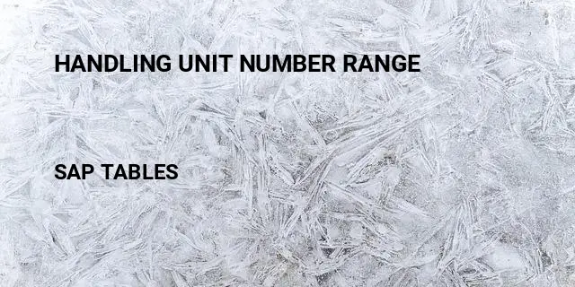 Handling unit number range Table in SAP