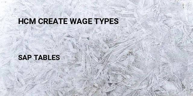 Hcm create wage types Table in SAP