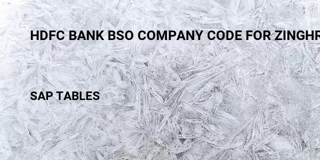 Hdfc bank bso company code for zinghr Table in SAP