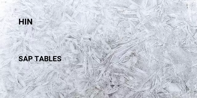 Hin Table in SAP