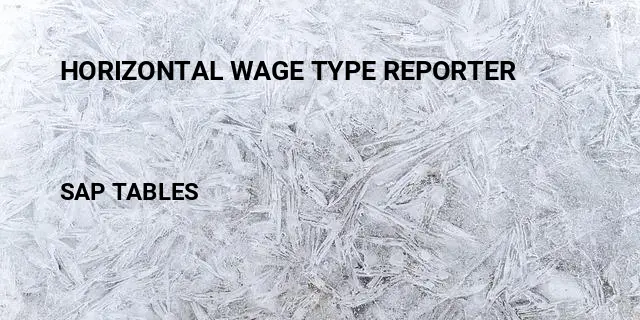 Horizontal wage type reporter Table in SAP