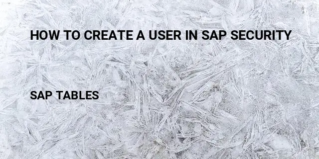How to create a user in sap security Table in SAP
