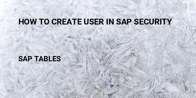 How to create user in sap security Table in SAP