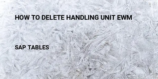 How to delete handling unit ewm Table in SAP