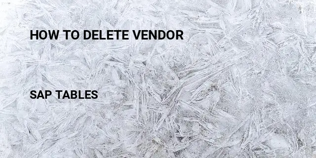How to delete vendor Table in SAP
