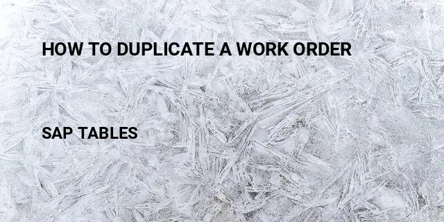 How to duplicate a work order Table in SAP