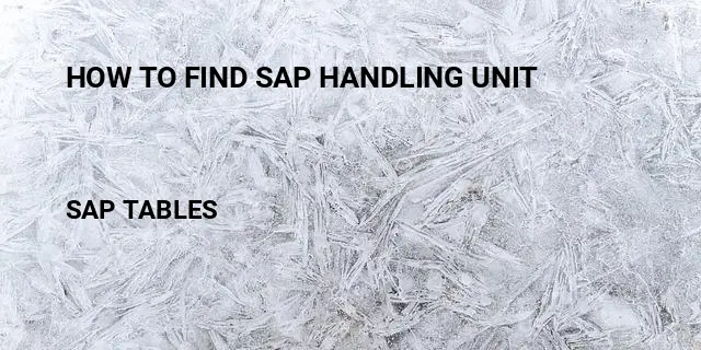 How to find sap handling unit Table in SAP