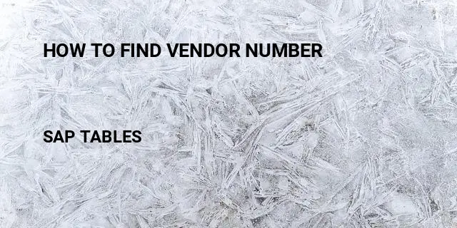 How to find vendor number Table in SAP