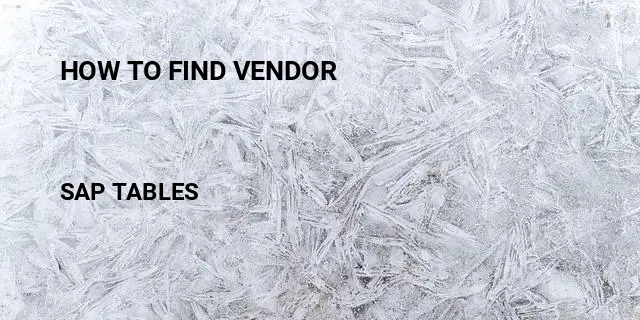 How to find vendor Table in SAP