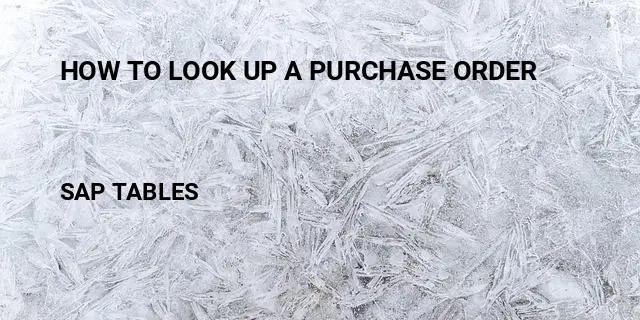 How to look up a purchase order Table in SAP