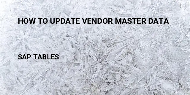 How to update vendor master data Table in SAP