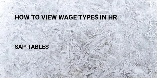 How to view wage types in hr Table in SAP