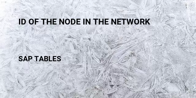 Id of the node in the network Table in SAP