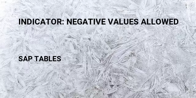 Indicator: negative values allowed Table in SAP