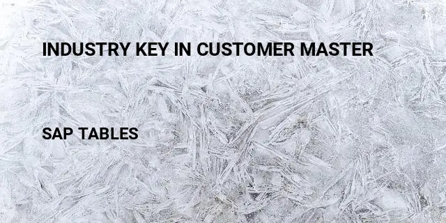 Industry key in customer master Table in SAP