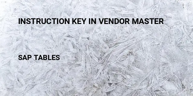 Instruction key in vendor master Table in SAP