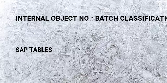 Internal object no.: batch classification Table in SAP