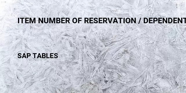 Item number of reservation / dependent requirements Table in SAP
