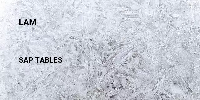 Lam Table in SAP