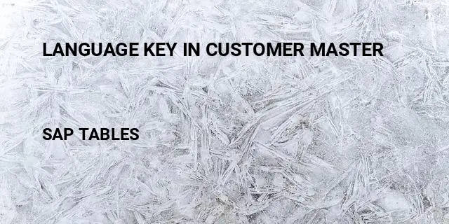 Language key in customer master Table in SAP