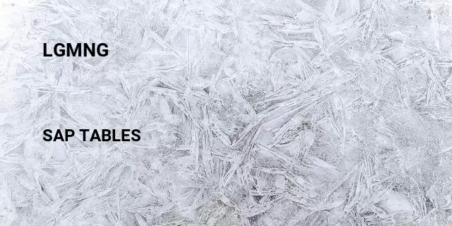 Lgmng Table in SAP