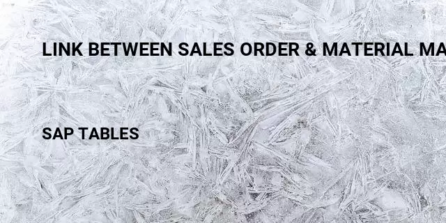 Link between sales order & material master Table in SAP