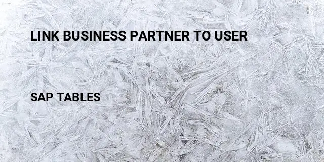 Link business partner to user Table in SAP