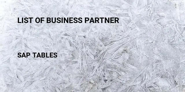 List of business partner Table in SAP