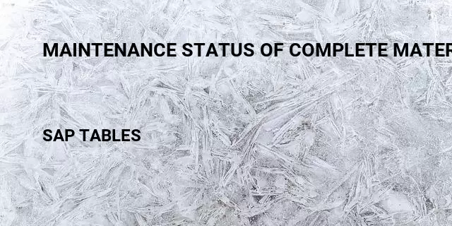 Maintenance status of complete material Table in SAP