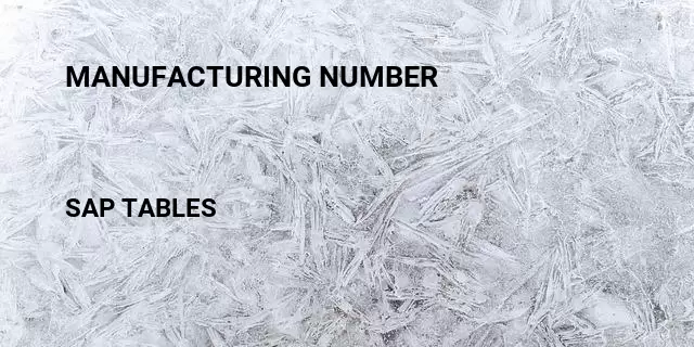 Manufacturing number Table in SAP