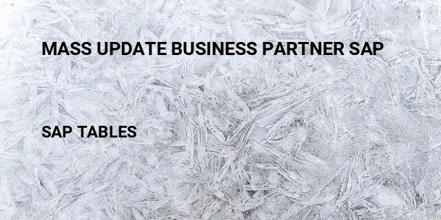 Mass update business partner sap Table in SAP