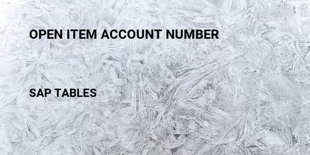 Open item account number Table in SAP